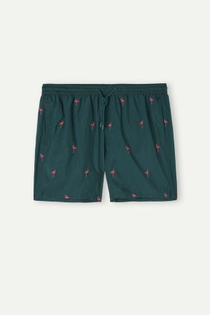 Intimissimi Embroidered Flamingo Badeshorts Herre Mørkegrøn | DK3326CE