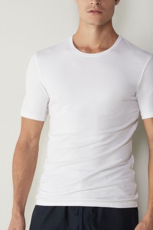 Intimissimi Kort-Sleeve Modal-Cashmere T Shirts Herre Hvide | DK3062EX