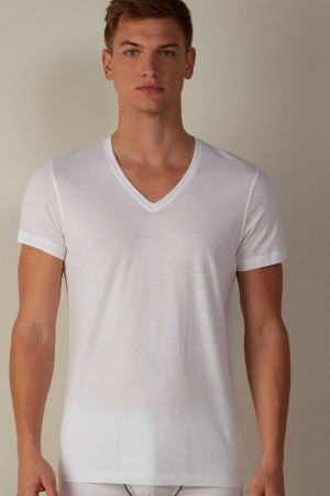 Intimissimi Kort-Sleeve V-Neck in Extra-Fine Supima® Bomulds T Shirts Herre Hvide | DK3040BC