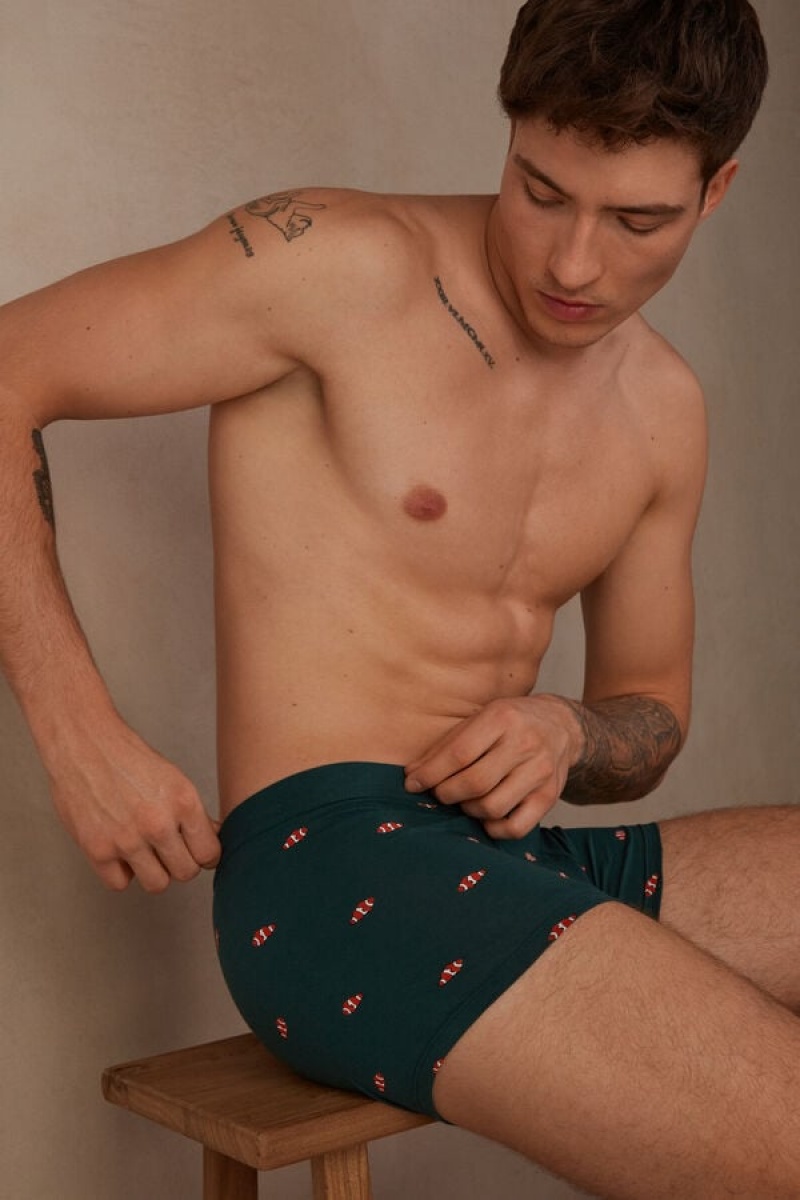 Intimissimi Clownfish in Stretch Supima® Bomulds Boxer Herre Mørkegrøn | DK3405GL