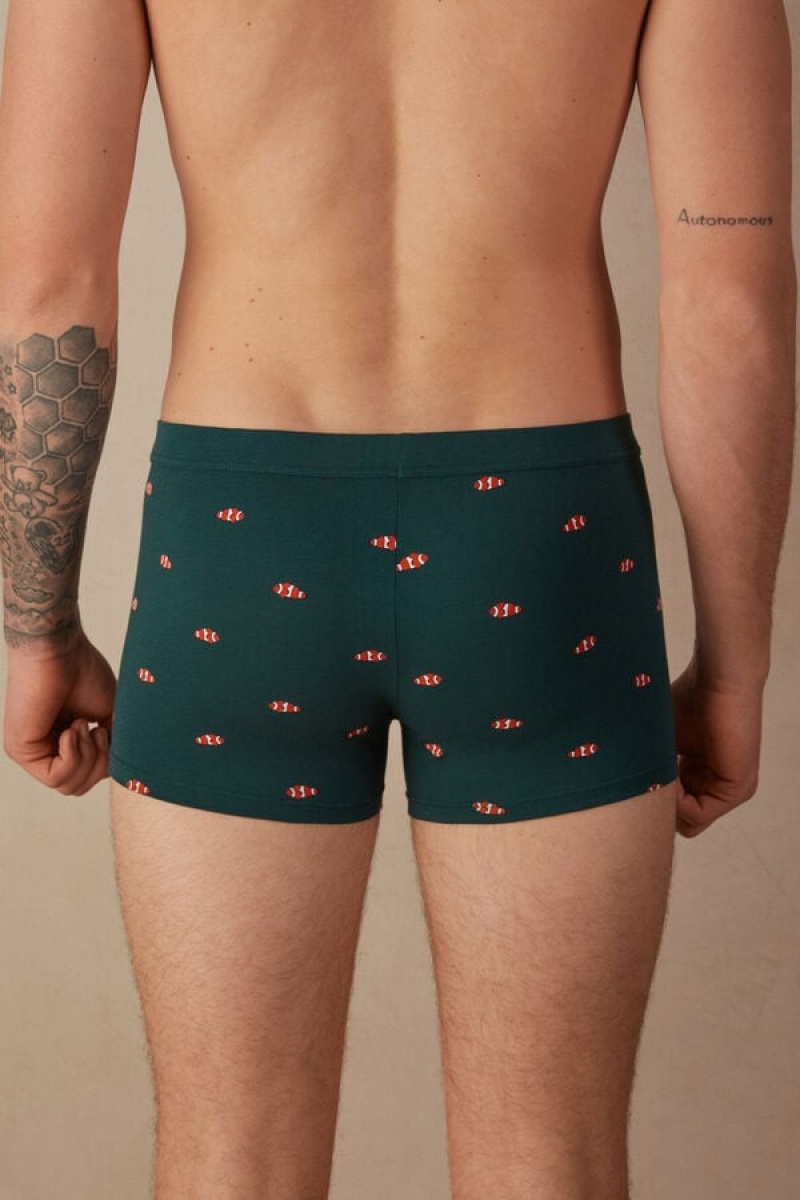 Intimissimi Clownfish in Stretch Supima® Bomulds Boxer Herre Mørkegrøn | DK3405GL