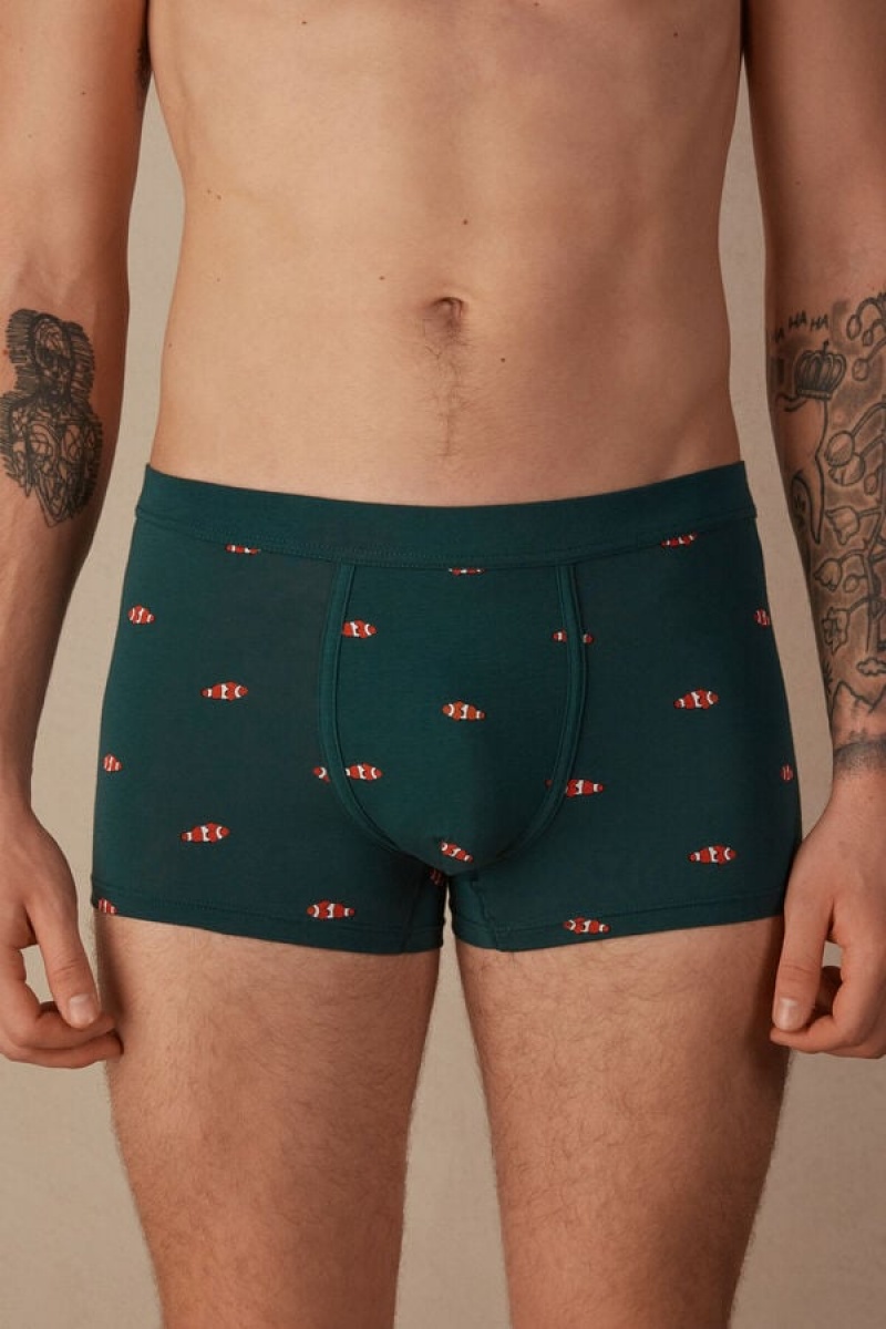 Intimissimi Clownfish in Stretch Supima® Bomulds Boxer Herre Mørkegrøn | DK3405GL