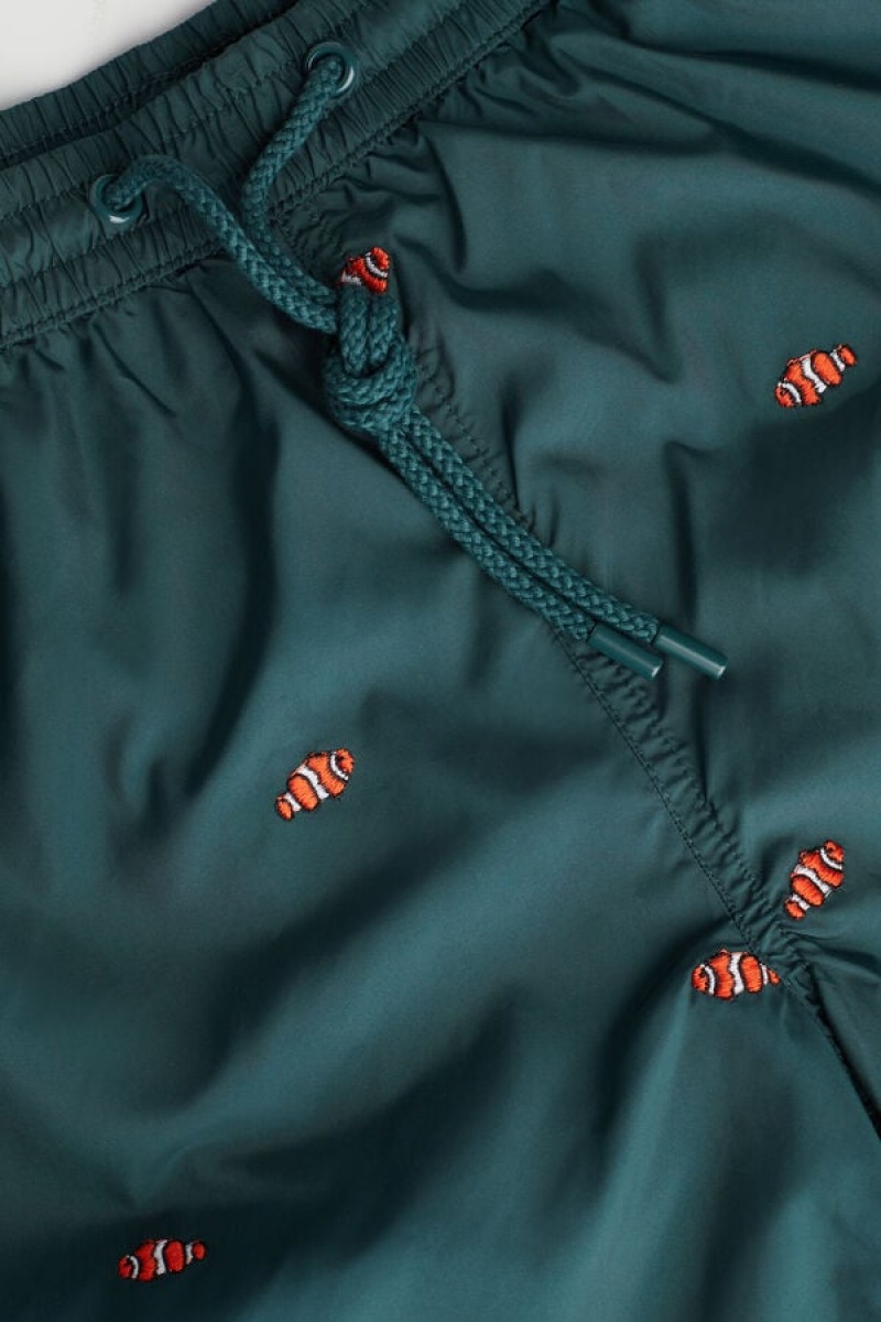 Intimissimi Embroidered Clownfish Badebukser Herre Mørkegrøn | DK3315UT