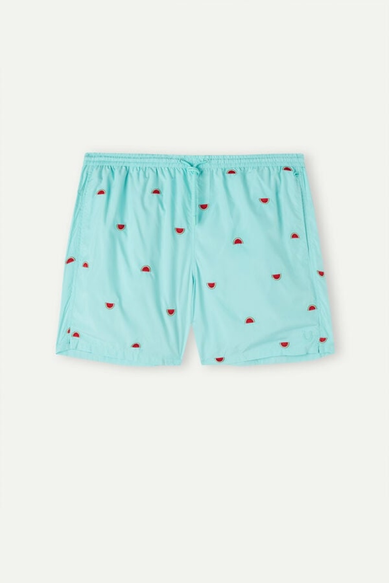 Intimissimi Embroidered Watermelon Badeshorts Herre Lyseturkis Grøn | DK3327XF