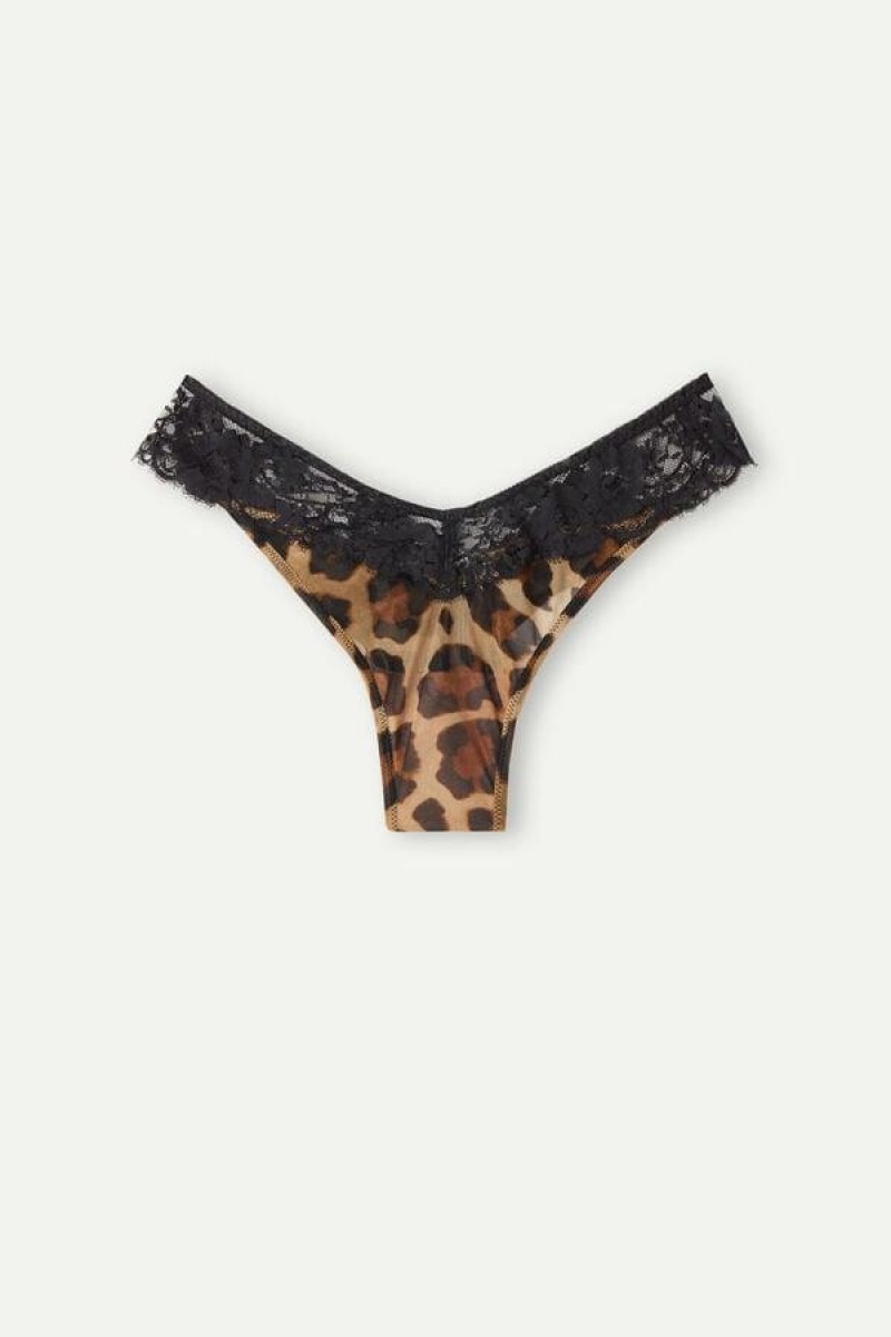 Intimissimi Lady Animalier ‘80s Stil Brazilian Trusser Dame Brune | DK3553CE