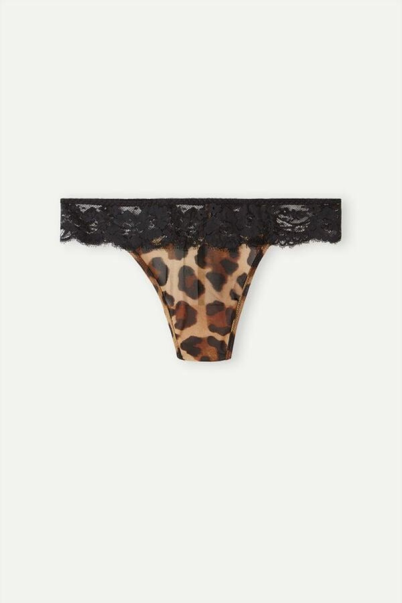 Intimissimi Lady Animalier Thong Trusser Dame Brune | DK3790SO