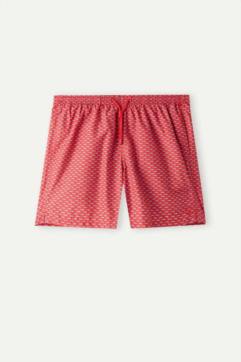 Intimissimi Micro Shark Print Badeshorts Herre Rød Mørkegrå | DK3322MA