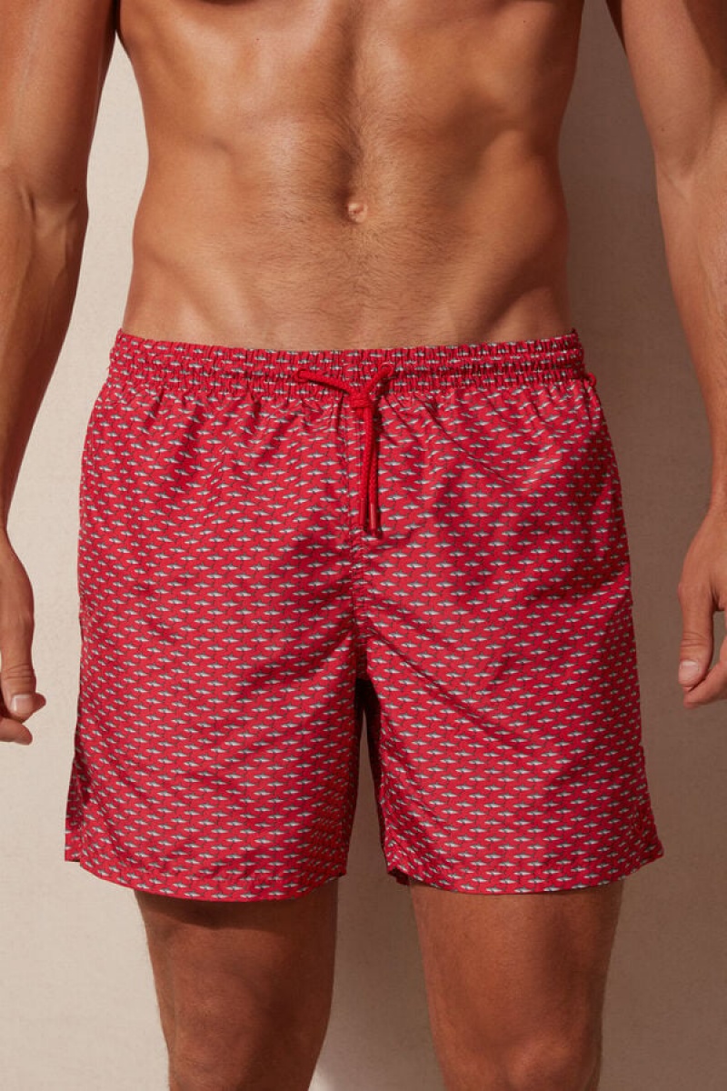 Intimissimi Micro Shark Print Badeshorts Herre Rød Mørkegrå | DK3322MA