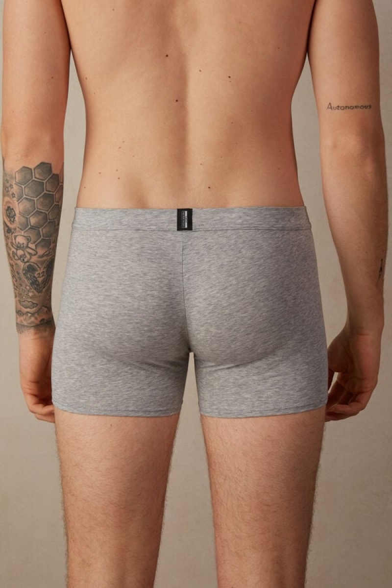 Intimissimi Natural Fresh Supima® Bomulds Boxer Herre Lysegrå | DK3482GL