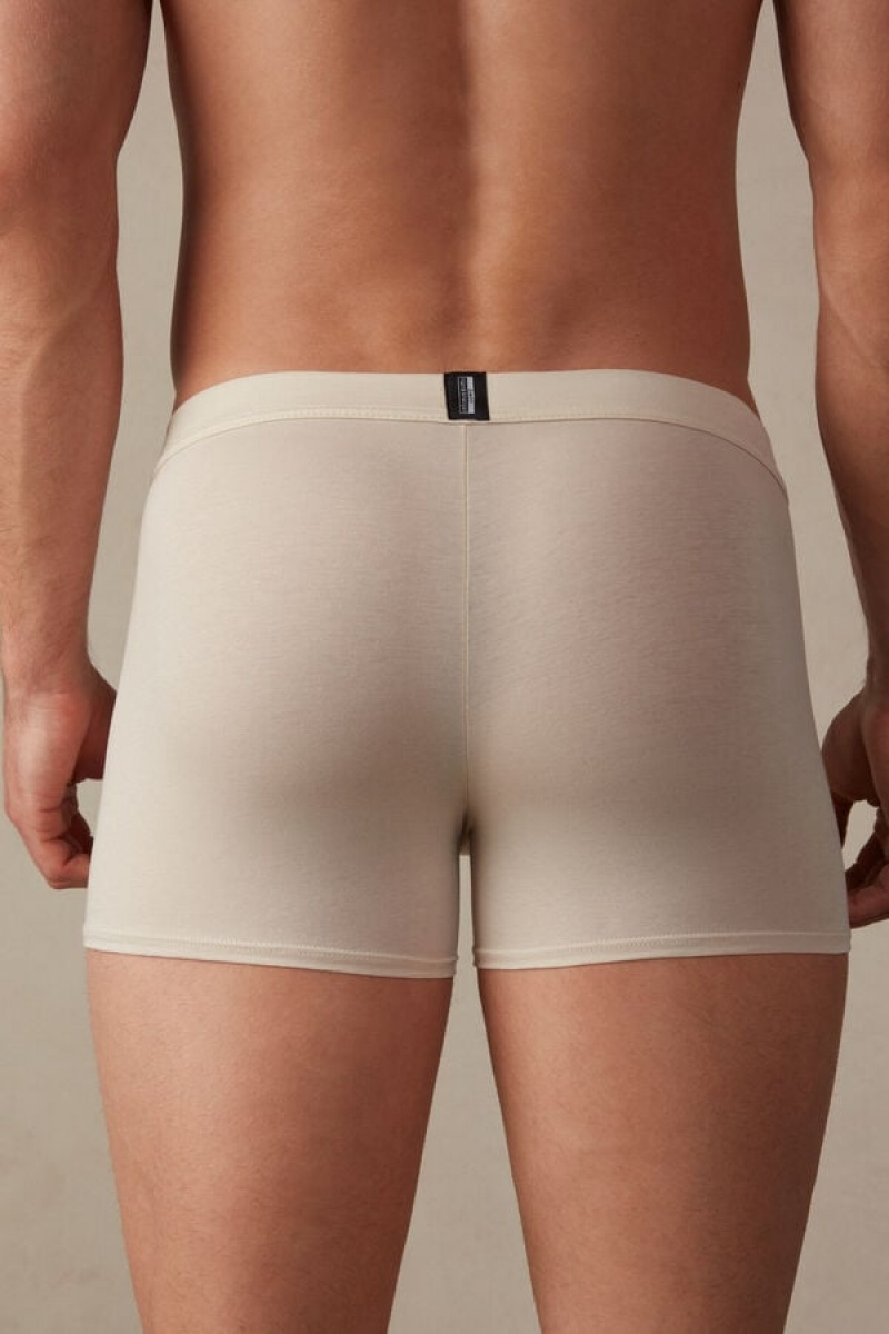 Intimissimi Natural Fresh Supima® Bomulds Boxer Herre Beige | DK3468RW