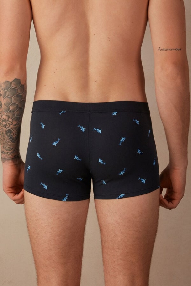 Intimissimi Shark in Stretch Supima® Bomulds Boxer Herre Blå Mørkegrå | DK3404HK