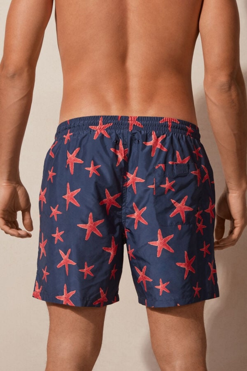 Intimissimi Starfish Print Badebukser Herre Blå | DK3294WY