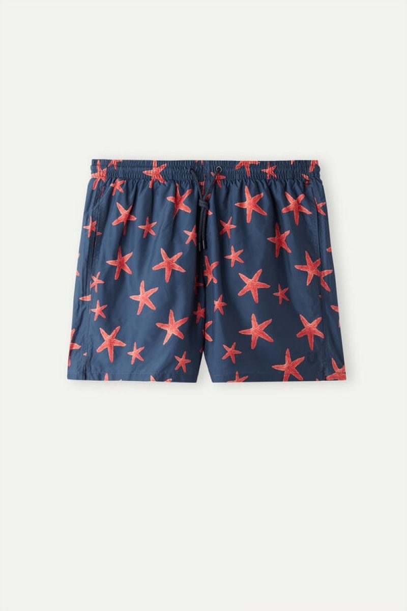 Intimissimi Starfish Print Badebukser Herre Blå | DK3294WY