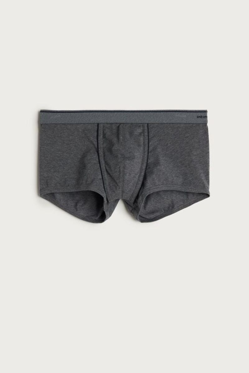 Intimissimi Supima® Bomulds Boxer Herre Dyb Grå Blå | DK3477DN